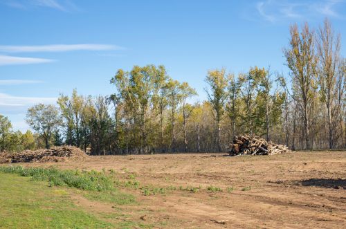 Ashland City TN brush clearing loader work