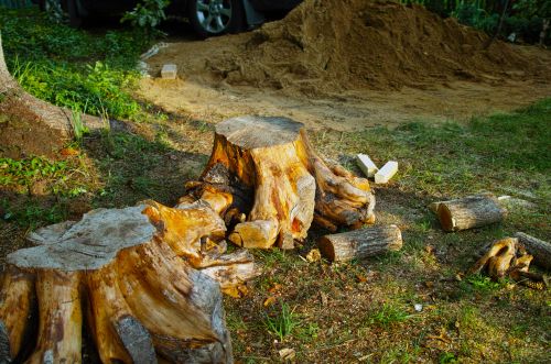Forestry mulching equipment clearing brush near Ashland City TN