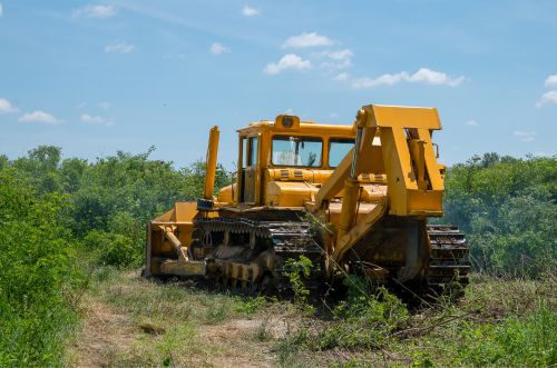 Ashland City TN forestry mulching equipment clearing underbrush